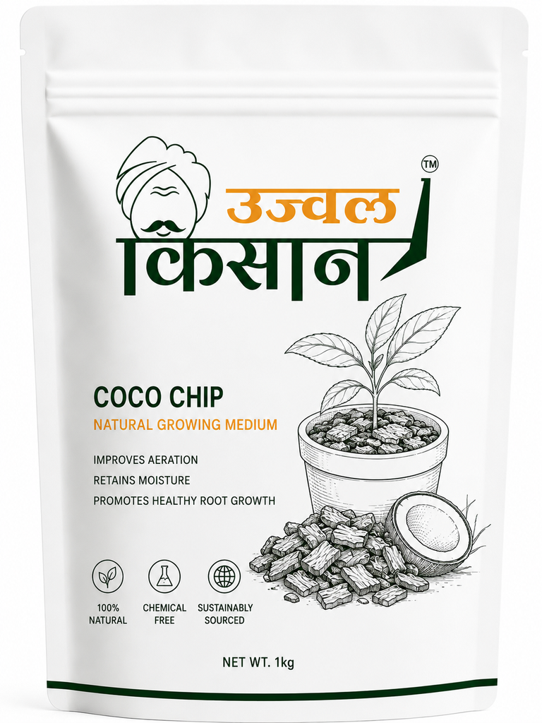 🥥 Coco Chip (500 Gm)