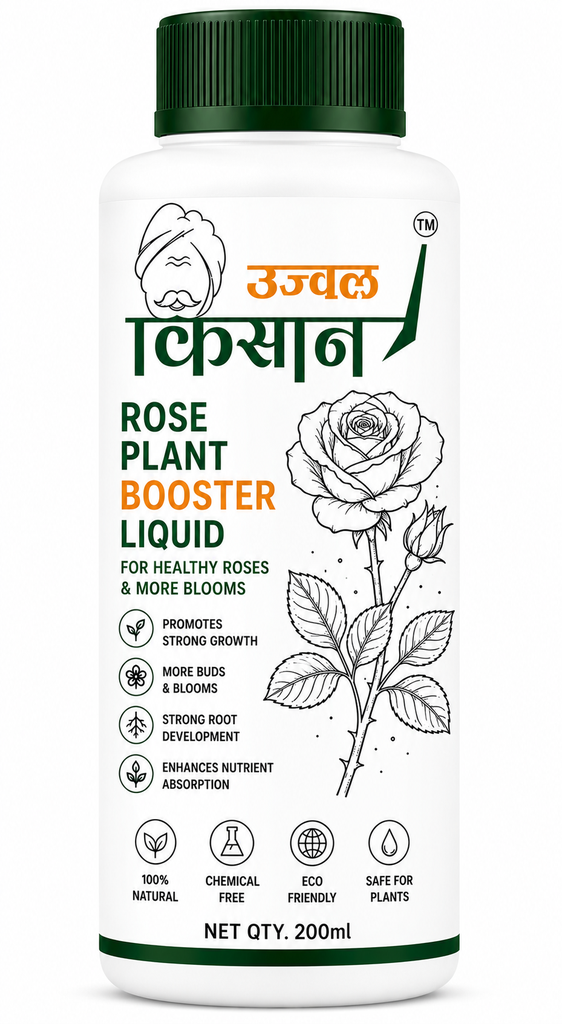 Rose Bloom Hydration Liquid